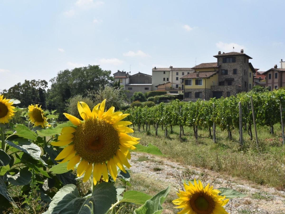 Locazione Turistica La Corte Bricca - Trilo Torretta Castana  Esterno foto